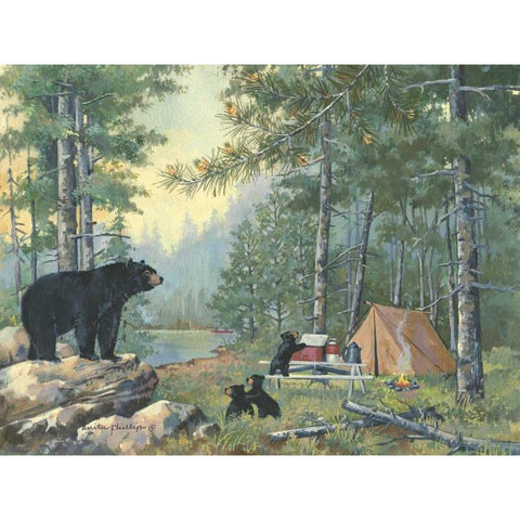 Bears Campsite Black Modern Wood Framed Art Print with Double Matting by Phillips, Anita