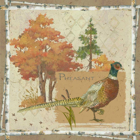 Pheasant Black Modern Wood Framed Art Print by Phillips, Anita