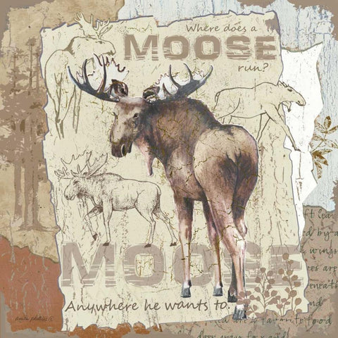 Moose Black Modern Wood Framed Art Print with Double Matting by Phillips, Anita