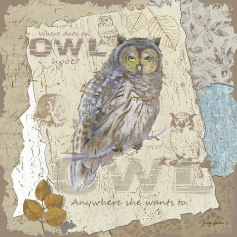 Owl Hoot White Modern Wood Framed Art Print with Double Matting by Phillips, Anita
