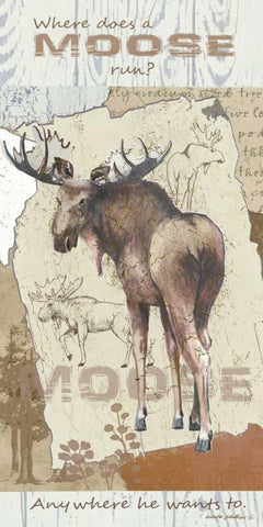 Moose Run White Modern Wood Framed Art Print with Double Matting by Phillips, Anita
