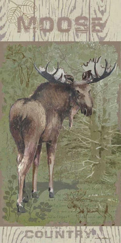 Moose Country Black Ornate Wood Framed Art Print with Double Matting by Phillips, Anita