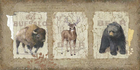 Woodlands I Black Ornate Wood Framed Art Print with Double Matting by Phillips, Anita