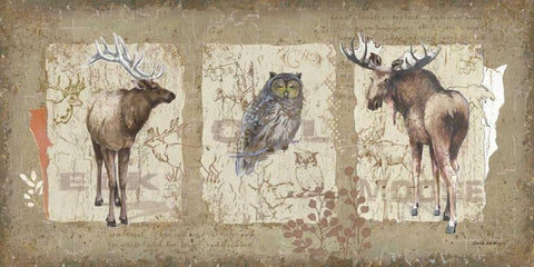 Woodlands II Black Ornate Wood Framed Art Print with Double Matting by Phillips, Anita