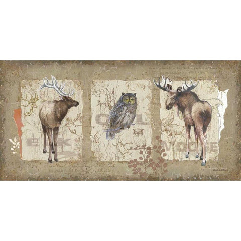 Woodlands II Black Modern Wood Framed Art Print by Phillips, Anita