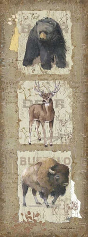 Woodlands III Black Ornate Wood Framed Art Print with Double Matting by Phillips, Anita