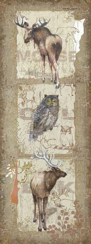 Woodlands IV Black Ornate Wood Framed Art Print with Double Matting by Phillips, Anita