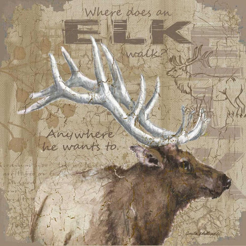 Where Does an Elk Walk White Modern Wood Framed Art Print by Phillips, Anita