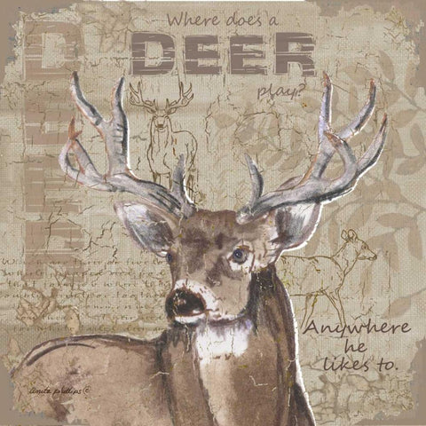 Where Does a Deer Play White Modern Wood Framed Art Print by Phillips, Anita