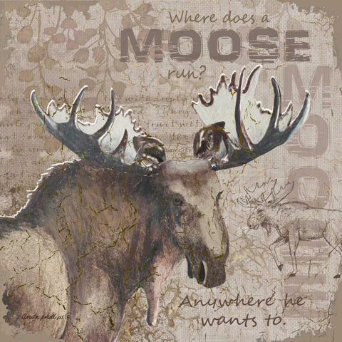 Where Does a Moose Run Black Modern Wood Framed Art Print with Double Matting by Phillips, Anita