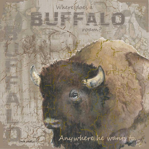 Where Does a Buffalo Roam Black Ornate Wood Framed Art Print with Double Matting by Phillips, Anita