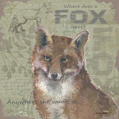 Where Does a Fox Trot White Modern Wood Framed Art Print by Phillips, Anita
