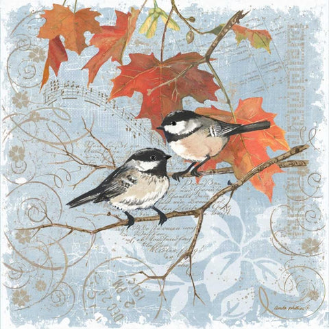 Chickadees III White Modern Wood Framed Art Print with Double Matting by Phillips, Anita