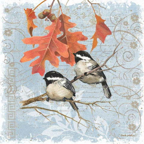 Chickadees IV White Modern Wood Framed Art Print by Phillips, Anita