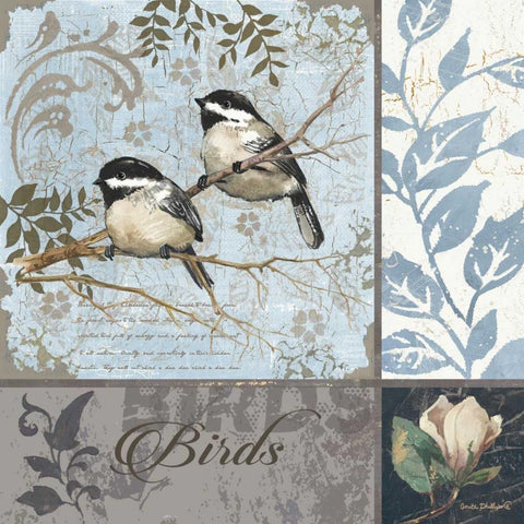 Chickadee Sampler Black Modern Wood Framed Art Print with Double Matting by Phillips, Anita