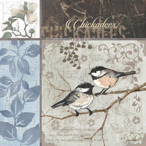 Chickadee Sampler II White Modern Wood Framed Art Print with Double Matting by Phillips, Anita