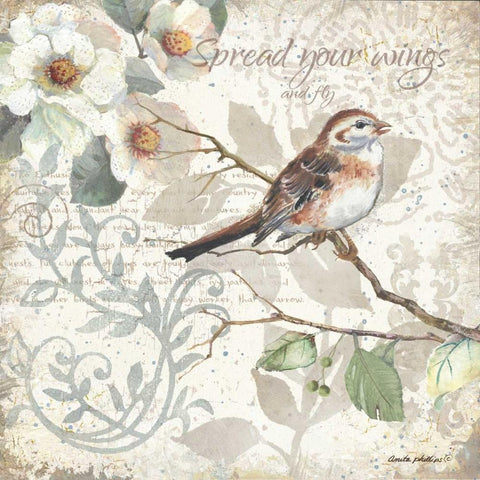 Spread Your Wings Black Ornate Wood Framed Art Print with Double Matting by Phillips, Anita