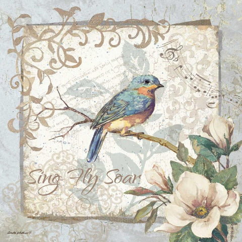 Sing Fly Soar - Border White Modern Wood Framed Art Print with Double Matting by Phillips, Anita