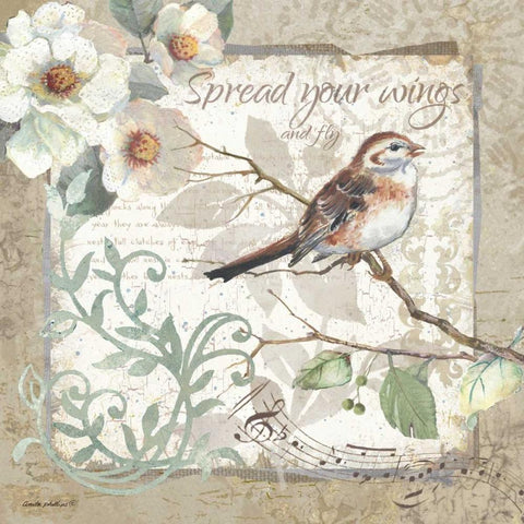 Spread Your Wings - Border White Modern Wood Framed Art Print with Double Matting by Phillips, Anita