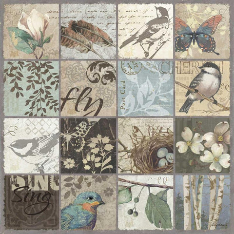 Bird 16 Patch II Black Modern Wood Framed Art Print by Phillips, Anita