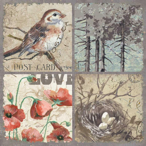 Bird 4 Patch III Black Ornate Wood Framed Art Print with Double Matting by Phillips, Anita