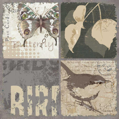 Bird 4 Patch V White Modern Wood Framed Art Print with Double Matting by Phillips, Anita