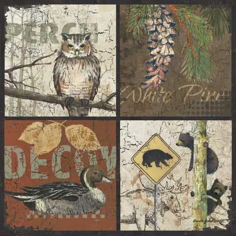 Decoy White Modern Wood Framed Art Print with Double Matting by Phillips, Anita