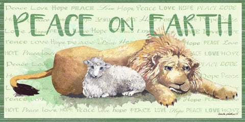 Peace on Earth II White Modern Wood Framed Art Print with Double Matting by Phillips, Anita