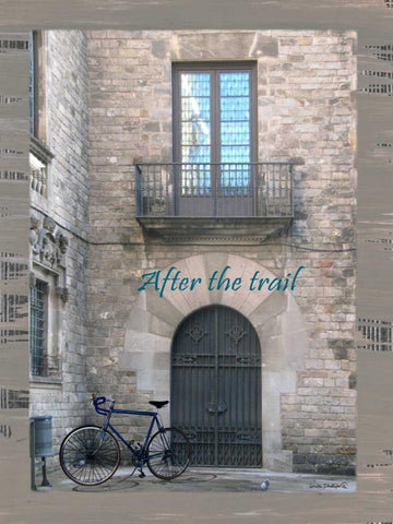 After the Trail Black Ornate Wood Framed Art Print with Double Matting by Phillips, Anita