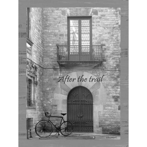 After the Trail BandW Gold Ornate Wood Framed Art Print with Double Matting by Phillips, Anita