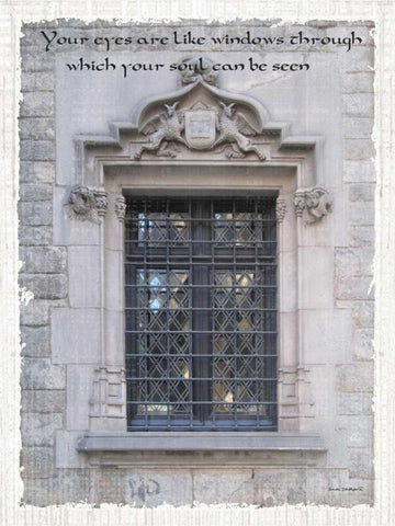 Windows of the World II Black Ornate Wood Framed Art Print with Double Matting by Phillips, Anita