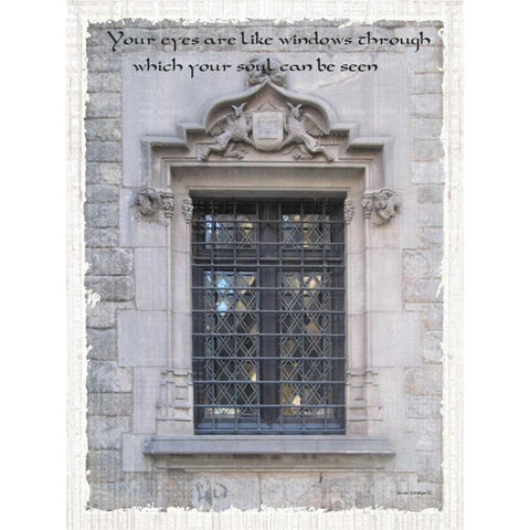 Windows of the World II Black Modern Wood Framed Art Print by Phillips, Anita