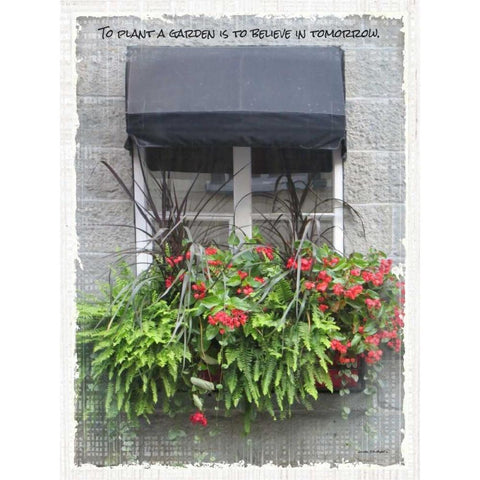 Windows of the World IV White Modern Wood Framed Art Print by Phillips, Anita