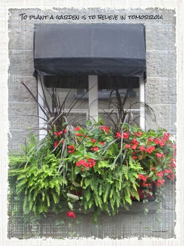 Windows of the World IV Black Ornate Wood Framed Art Print with Double Matting by Phillips, Anita