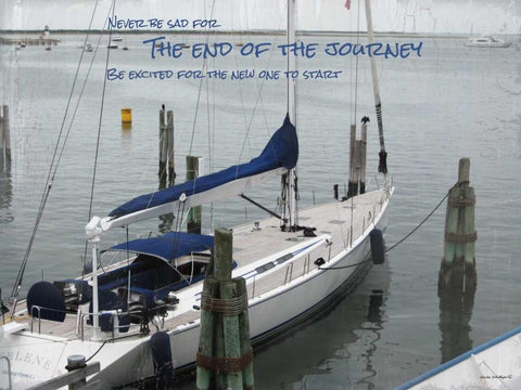 Blue Sail Boat Black Ornate Wood Framed Art Print with Double Matting by Phillips, Anita