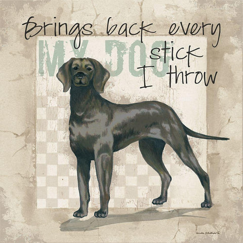 Every Stick Black Modern Wood Framed Art Print with Double Matting by Phillips, Anita