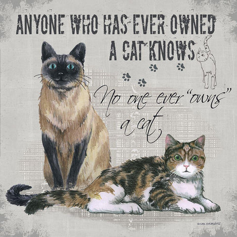 Owns a Cat Black Modern Wood Framed Art Print by Phillips, Anita
