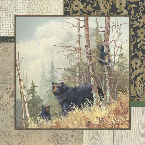 Black Bears with Border Black Ornate Wood Framed Art Print with Double Matting by Phillips, Anita