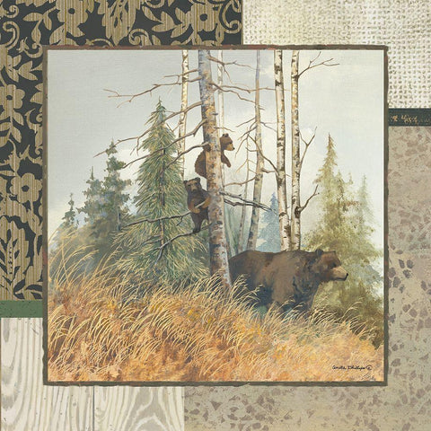 Brown Bears with Border White Modern Wood Framed Art Print by Phillips, Anita