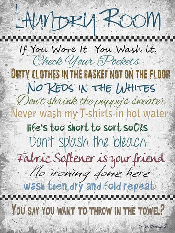 Laundry Room White Modern Wood Framed Art Print with Double Matting by Phillips, Anita