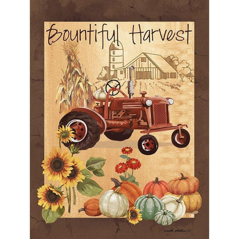Bountiful Harvest III Black Modern Wood Framed Art Print by Phillips, Anita