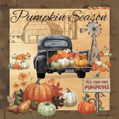 Pumpkin Season II Black Modern Wood Framed Art Print with Double Matting by Phillips, Anita