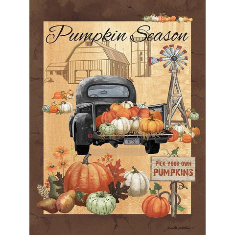 Pumpkin Season III Black Modern Wood Framed Art Print by Phillips, Anita