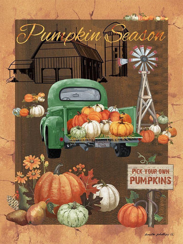 Pumpkin Season VI Black Ornate Wood Framed Art Print with Double Matting by Phillips, Anita