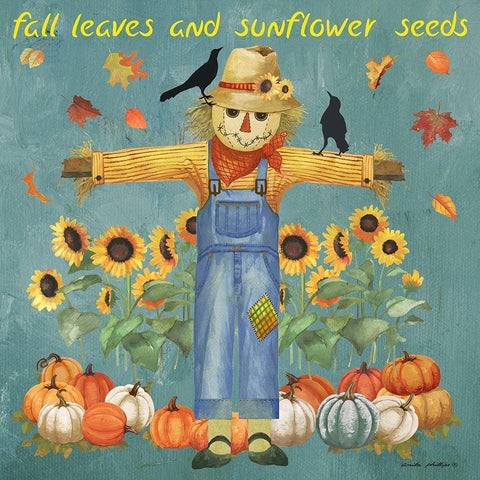 Sunflower Seeds Black Modern Wood Framed Art Print with Double Matting by Phillips, Anita