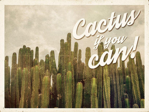 Cactus If You Can White Modern Wood Framed Art Print with Double Matting by Hutchins, Ashley