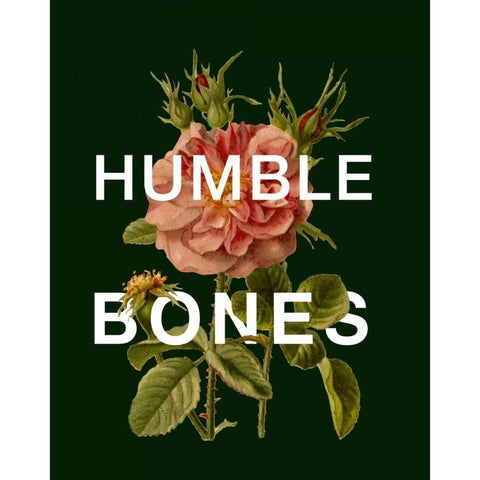 Humble Bones White Modern Wood Framed Art Print by Perrenoud, Aubree