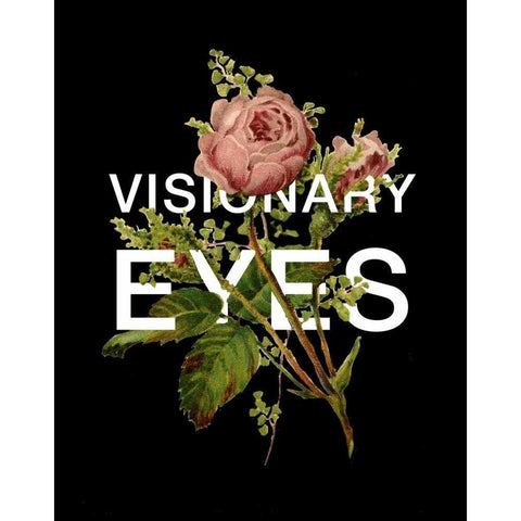 Visionary Eyes Gold Ornate Wood Framed Art Print with Double Matting by Perrenoud, Aubree