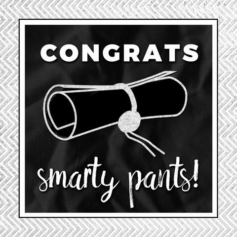 Smarty Pants Silver Black Modern Wood Framed Art Print with Double Matting by Perrenoud, Aubree