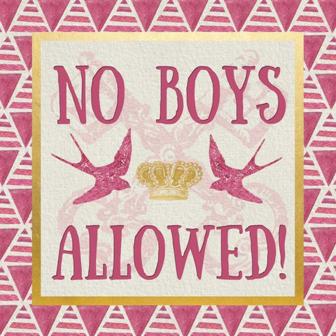 No Boys Allowed White Modern Wood Framed Art Print with Double Matting by Perrenoud, Aubree